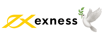 Understanding Exness Standard A Gateway to Successful Trading