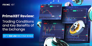 Unlocking the Potential of PrimeXBT Trading A Comprehensive Guide -685492842