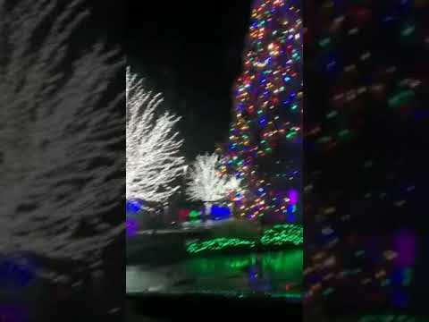 What Position Can High Schools Play In Curbing Drawback Gambling