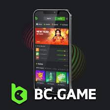 Experience the Thrill of Crypto Gambling at BC.Game Casino